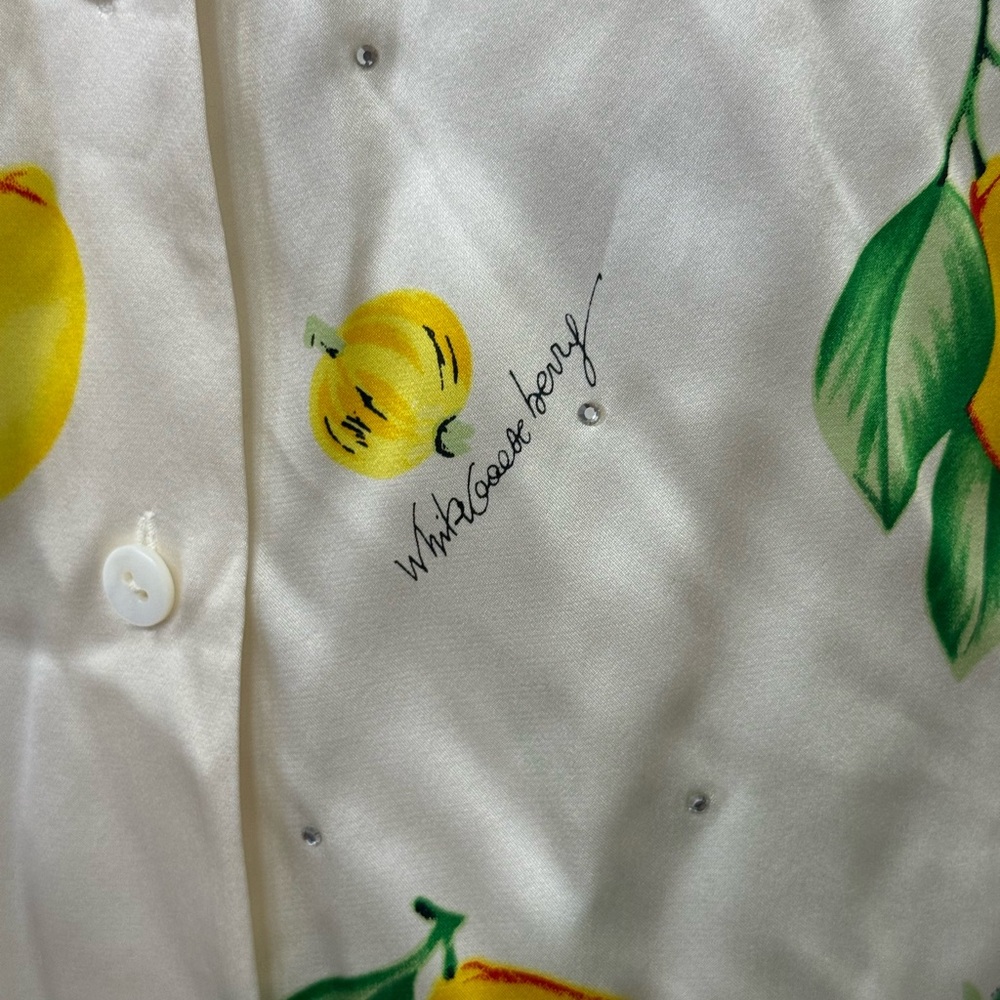 Starington Vintage Fruit Print Silk Button Up Blouse - Picture 6 of 7